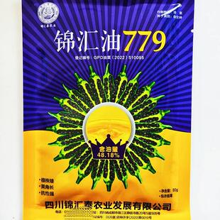 锦汇779油种子高产WTM高播油抗寒抗病抗倒菜伏农家基地秋精 油选