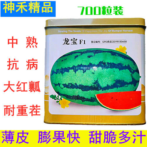 西瓜种子神禾龙宝中早熟红瓤抗病皮薄高糖甜脆耐重茬杂交西瓜种籽
