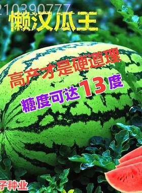 懒汉大瓜西瓜种子甜王西瓜种籽高产春秋四季南方水果种孑巨型西瓜