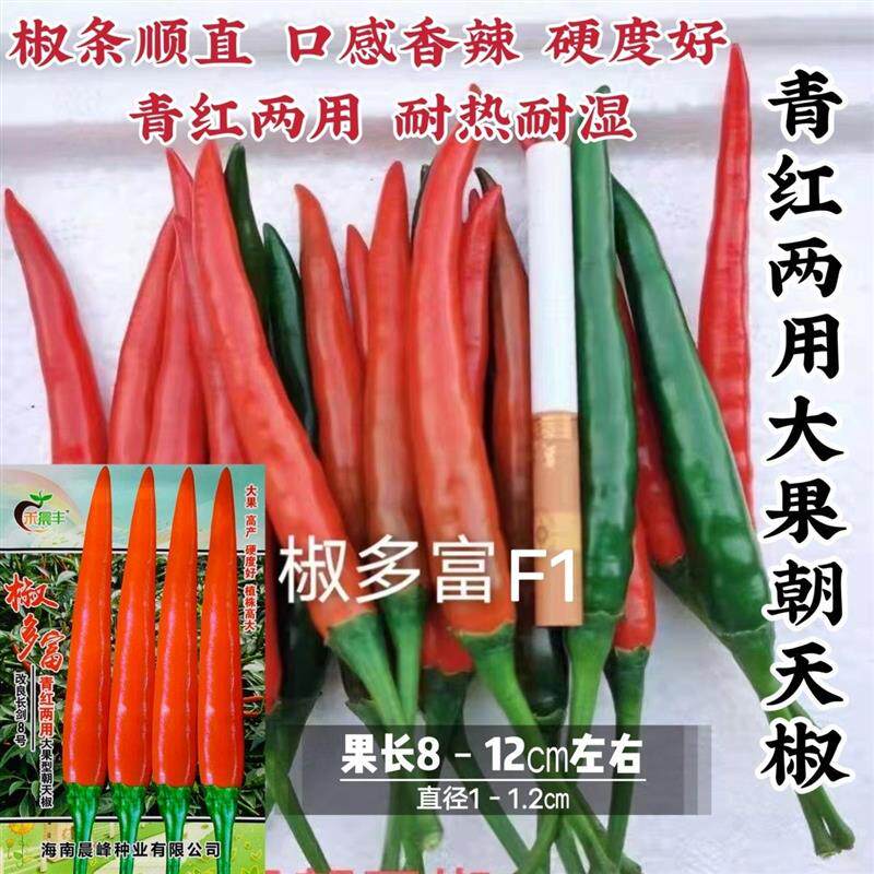 海南椒多富大果型朝天椒种子青红两用改良长剑8号朝天椒种籽香辣