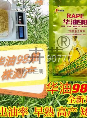 华油98油菜华籽杂交高榨油油菜花种子黄油菜籽早熟产耐寒倒JHC出
