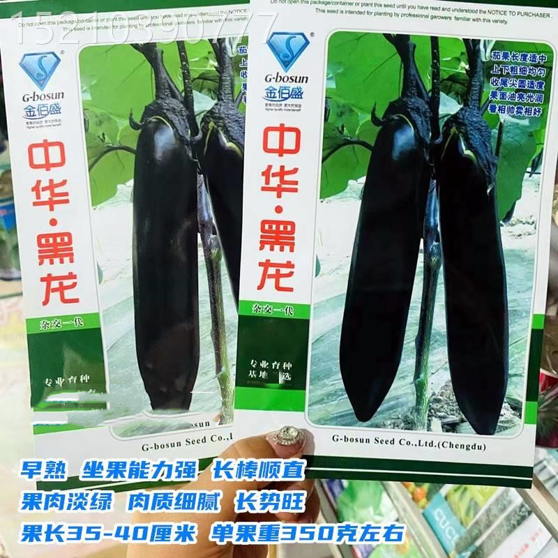 中华黑龙黑长茄子种子早熟高产杂交一代新品种茄种农家春秋蔬菜种