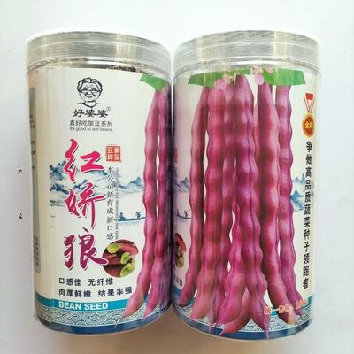 红娇狼架豆种子荚肉厚无筋无纤维芸豆角籽高产抗病耐寒庭院春秋播