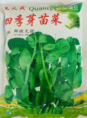 义天晟四季芽苗菜豌豆苗豌豆种子清香脆嫩高产抗病商品性佳四季播