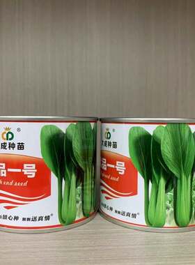 优品一号杂交一代日本进口油菜种子小青菜种子青梗菜种子四季种植