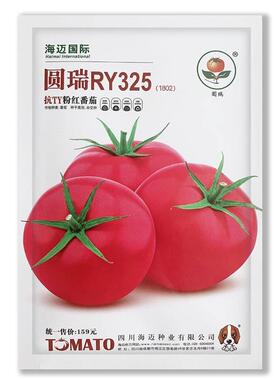 圆瑞RY35T无限生长型粉红色番种子中早熟大果抗2茄VMZP耐线虫基地