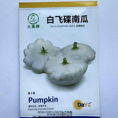 大禹白飞碟南瓜种籽乳白色可食用可观赏特色南瓜种子农家春秋季播