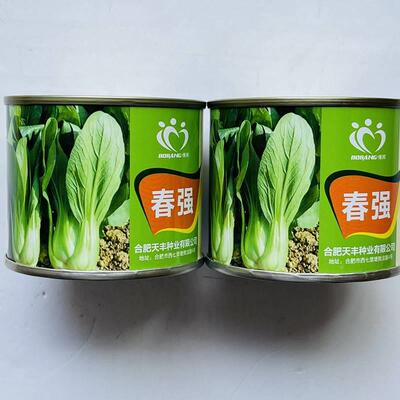 春强青梗耐菜种子寒耐薹杂菜交FME一代品种束腰小抽青农家春秋季
