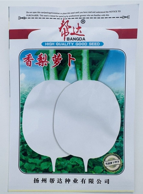 香梨萝卜种子白皮白肉萝卜种籽质脆味甜白萝卜种子秋季大田种