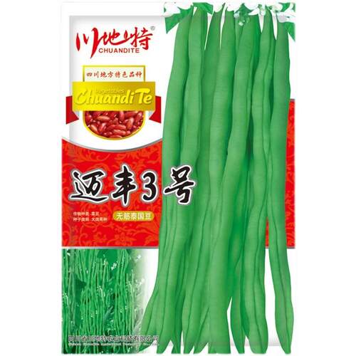 川地特迈丰3春号 架豆种子中早熟品种分基枝力耐热AXM强性高秋地