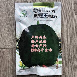 黑冠王打瓜种子大片瓜子瓜产籽西瓜南瓜种籽春夏季四季蔬菜种孑LT