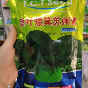 黑叶矮箕苏州青种子耐寒束腰抗病性强矮脚青菜种籽四倍体杂交种孑
