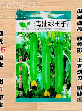 青油绿王子丝瓜种子早熟短棒油皮清香绿油丝瓜种籽春夏秋耐热蔬菜
