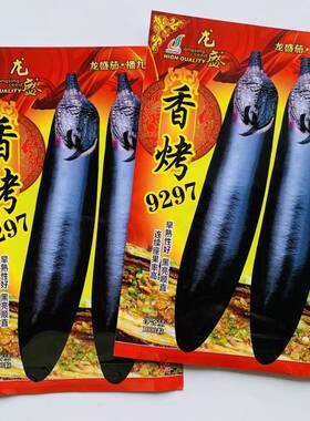 龙盛香烤9297茄种子四季烧烤茄子种籽油黑香美味烧烤茄种基地专用