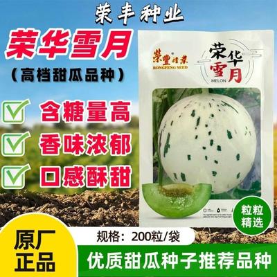荣华雪月绿肉厚皮甜瓜种子抗病强圆形肉质细腻流星蜜瓜梦露流星籽
