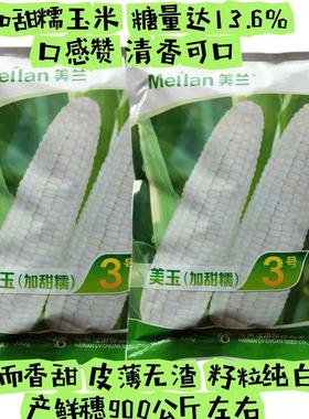 美兰美玉3号玉米种子甜糯玉米种子优质稳产型全国加甜糯玉米种子