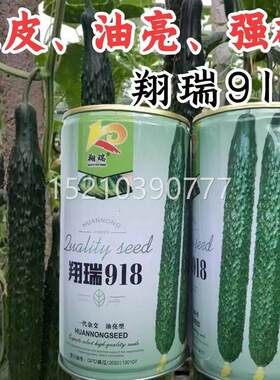 翔91瑞8黄瓜黑种子 籽绿瓤皮油VIK亮强磁耐热耐寒露地专用黄瓜种