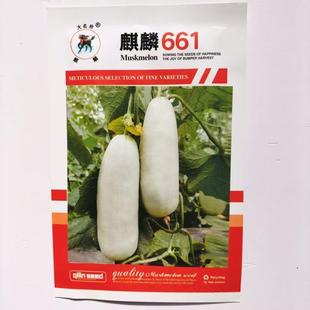 春季 口感好薄皮酥甜高产抗病商品性佳 播 羊角蜜甜瓜种子 麒麟661