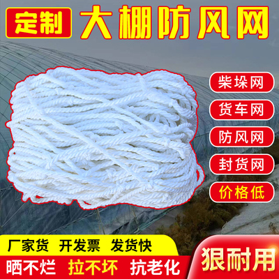 鼎豪封车养殖大棚防风网