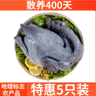 400天套餐泰和乌鸡散养乌骨鸡农家鸡月子孕妇鸡术后老人恢复鸡