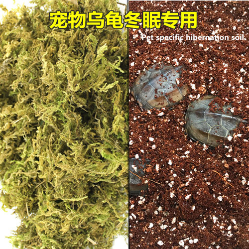 椰土乌龟冬眠用品保湿爬虫