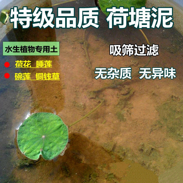 睡莲碗莲荷花专用土多少钱 睡莲碗莲荷花专用土优惠券免费领取 有条鱼