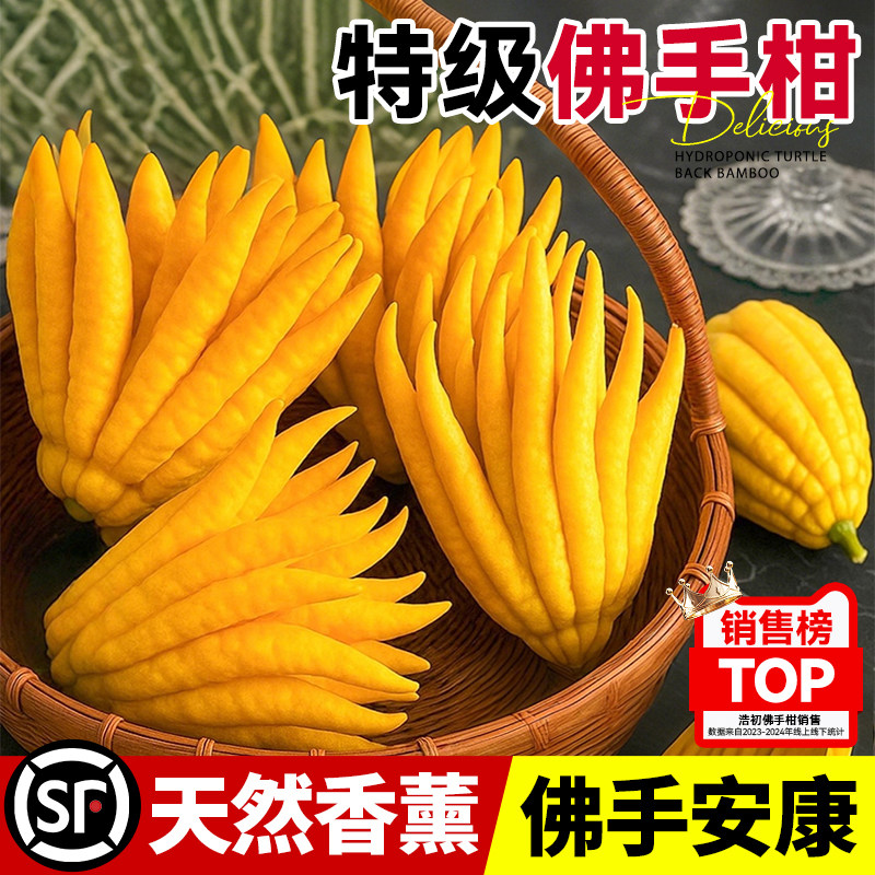 佛手柑新鲜水培大果天然香薰室内佛手瓜水养绿植闻香桌面观赏盆栽