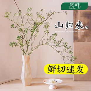 山归来鲜切水培植物干花永生花束蔷薇果枝条室内绿植花卉客厅插花