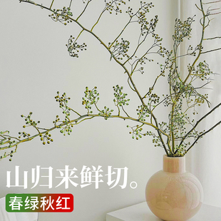山归来鲜切花客厅绿植水养蔷薇果干枝条水培植物室内鲜花家用插花