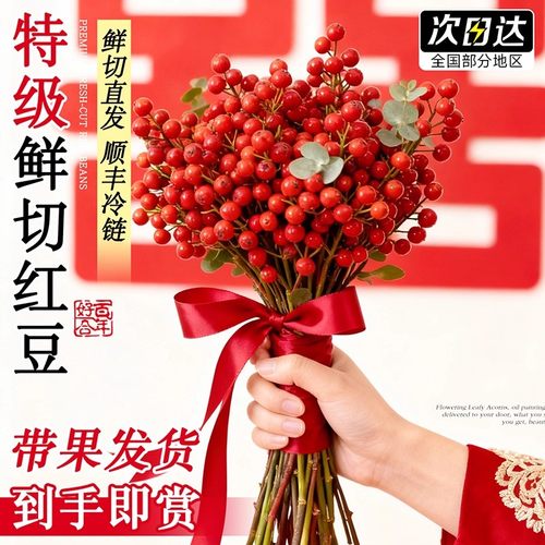 红相思豆手捧花新娘结婚diy装饰