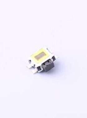 PTS841ESDGKPSMTRLFS 轻触开关 PTS841ESDGKPSMTRLFS SMD