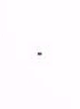 PMX100UNZ 场效应管(MOSFET) 1个N沟道 耐压:20V 电流:1.3A DFN06