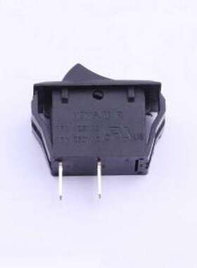 R-2-110-C5N-BB 船型开关 32*16.5开关无灯 插件