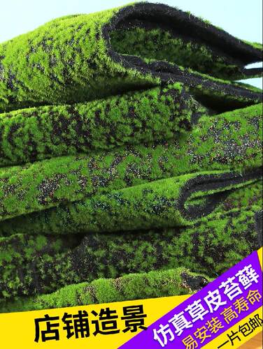 铺面苔藓草坪价格 铺面苔藓草坪图片 星期三