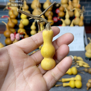 229号带橘纹皮介意勿拍