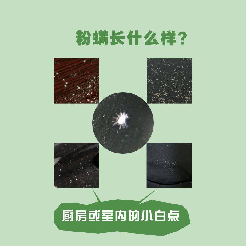 三滴专杀粉螨香薰除螨虫神器厨房客厅室内小白点尘螨粉螨革螨鼠螨