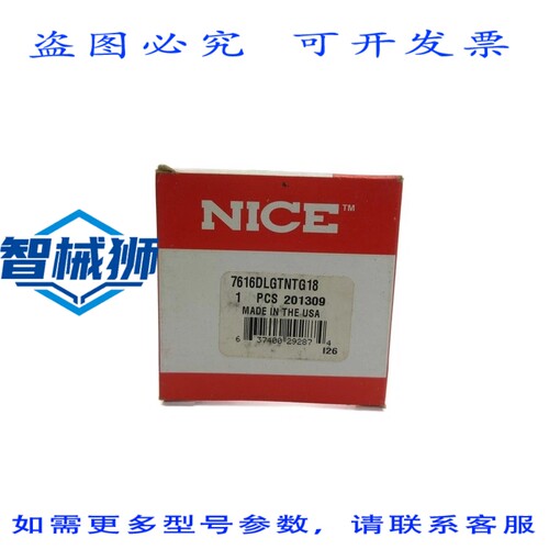 原装供应 NICE 7616DLGTNTG18 NSMP