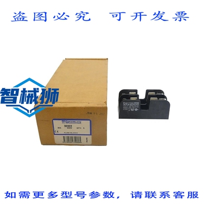 原装供应 FERRAZ SHAWMUT 30322 600V 30A（5个装）NSMP
