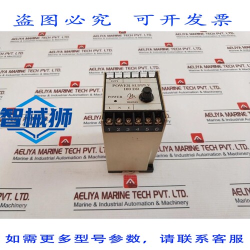 原装供应 MANAS MICROSYST 100 DR 电源模块 0.25A 230VAC