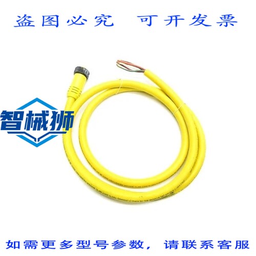 原装供应 丹尼尔·伍德海德 206000A01F060 600V 8A NSNP