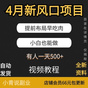 4月新风口项目提前布局早吃肉小白副业教程资料手机操作副业项目