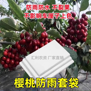 大樱桃专用防雨防裂果纸套袋神器包烟台美早大尺寸白纸车厘子遮罩