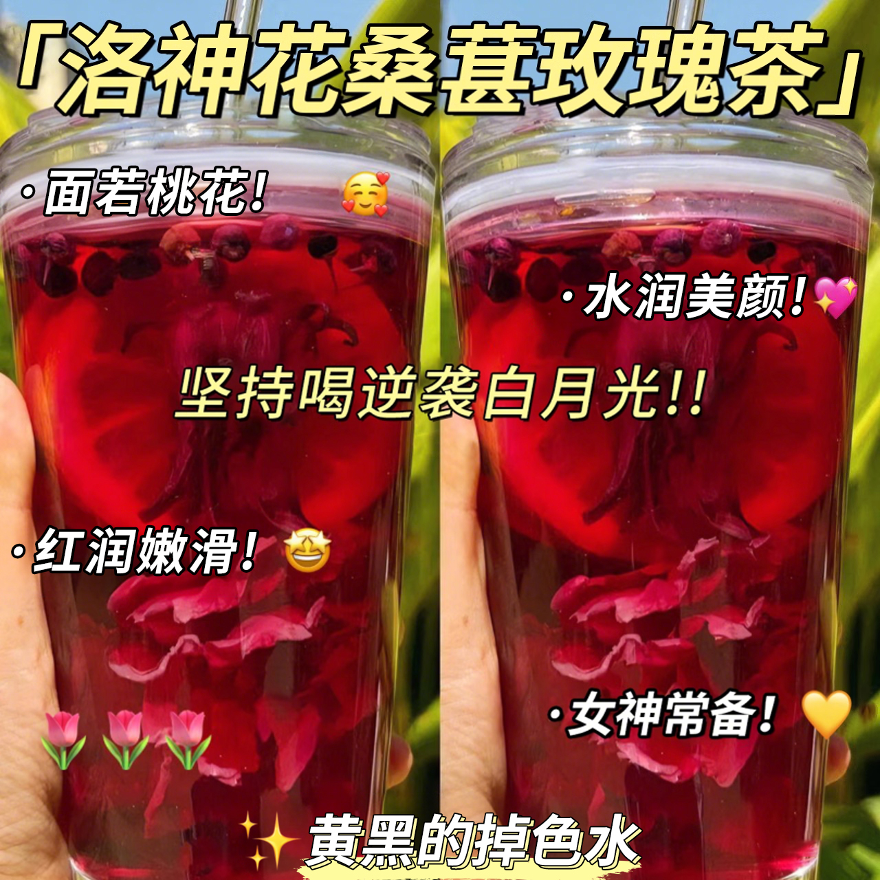 洛神花茶桑葚玫瑰花水果茶包组合养生女人调理美容气血白养颜泡水