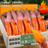 农科院严选品质山东糖心烟薯25号官方旗舰店正宗正品 地瓜香甜蜜薯