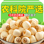 莲子干货500g特级去芯新鲜官方旗舰店2025年湘潭湖南干货批发优质