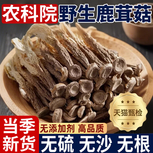 农科院云南鹿茸菇干货特级正品 官方旗舰店新鲜纯野生批发煲汤食材