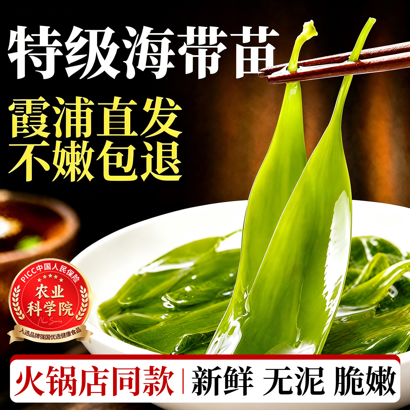 海带苗嫩特级新鲜嫩苗盐渍正宗福建霞浦火锅专用旗舰店涮火锅食材