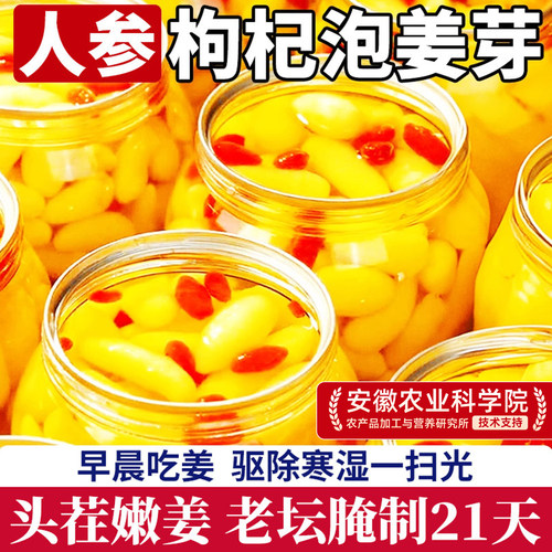 人参枸杞泡姜芽三伏天祛除湿寒气