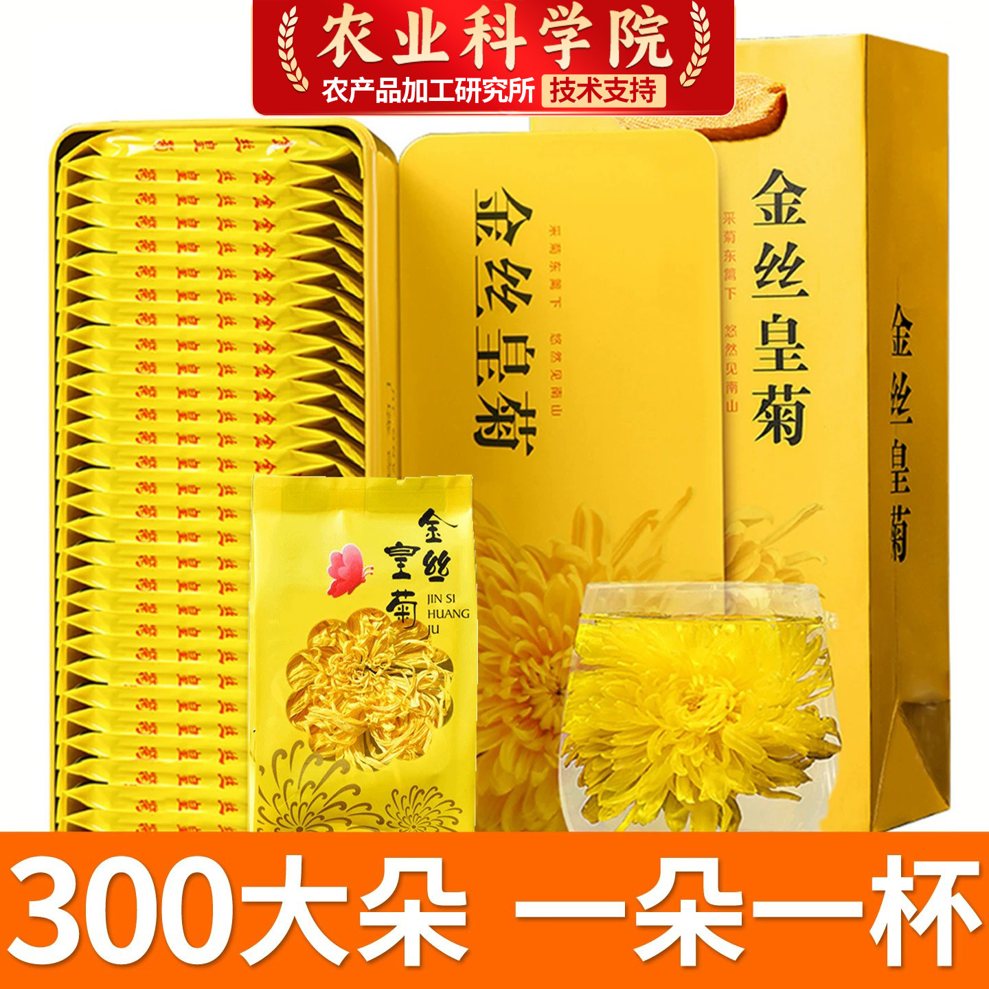 【农科院】特级特大金丝皇菊图片