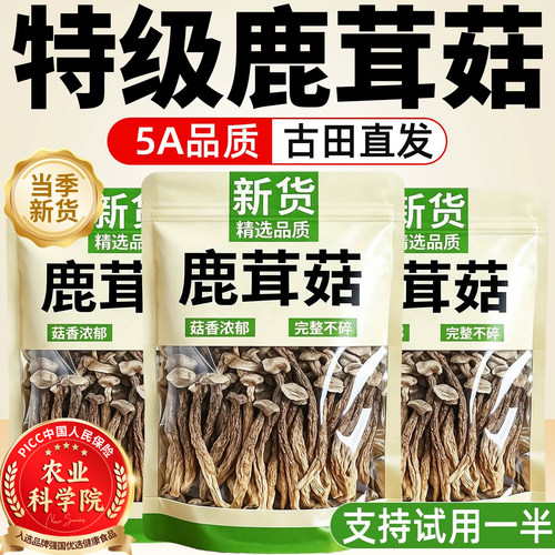 【脆嫩鲜香】正宗福建古田鹿茸菇